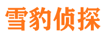 萧县市调查公司